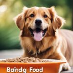 Best Dog Foods on a Budget – Affordable and Nutritious Options