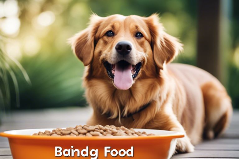 budgetfriendly and nutritious dog food options tsl
