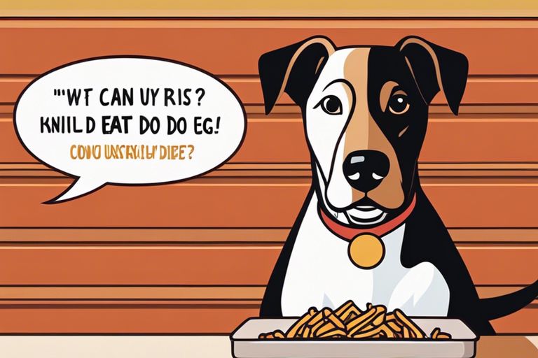 dogs diet can they eat french fries lci